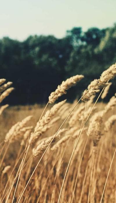 The algorithm shift nobody is talking about 👀 #contentcreator #smm